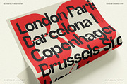 SLTF Refugio - Modern Grotesk Font, a Sans Serif Font by SilverStag Type Foundry (Thumbnail 5 of 30)