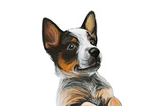 Dogs Cross Breeds 56 Animals Bundle, an Animal Illustration by Dneprstock (Thumbnail 45 of 55)