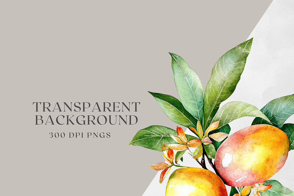 Watercolor Mango Clipart, a Decorative Illustration by ThaismotaCreativeCo (Photo 10 of 10)