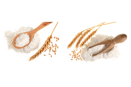ears of wheat and pile of flour in, a Food & Drink Photo by NataPhoto