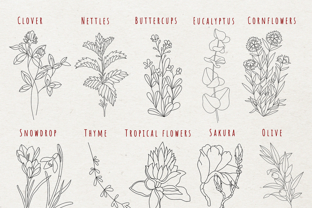 Flowers and Bows graphic line art, a Decorative Illustration by Nataly_is_Drawing (Photo 5 of 11)