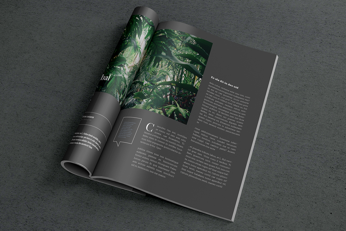 Indesign Magazine Template #6, a Magazine Template by spidergraph (Photo 11 of 12)