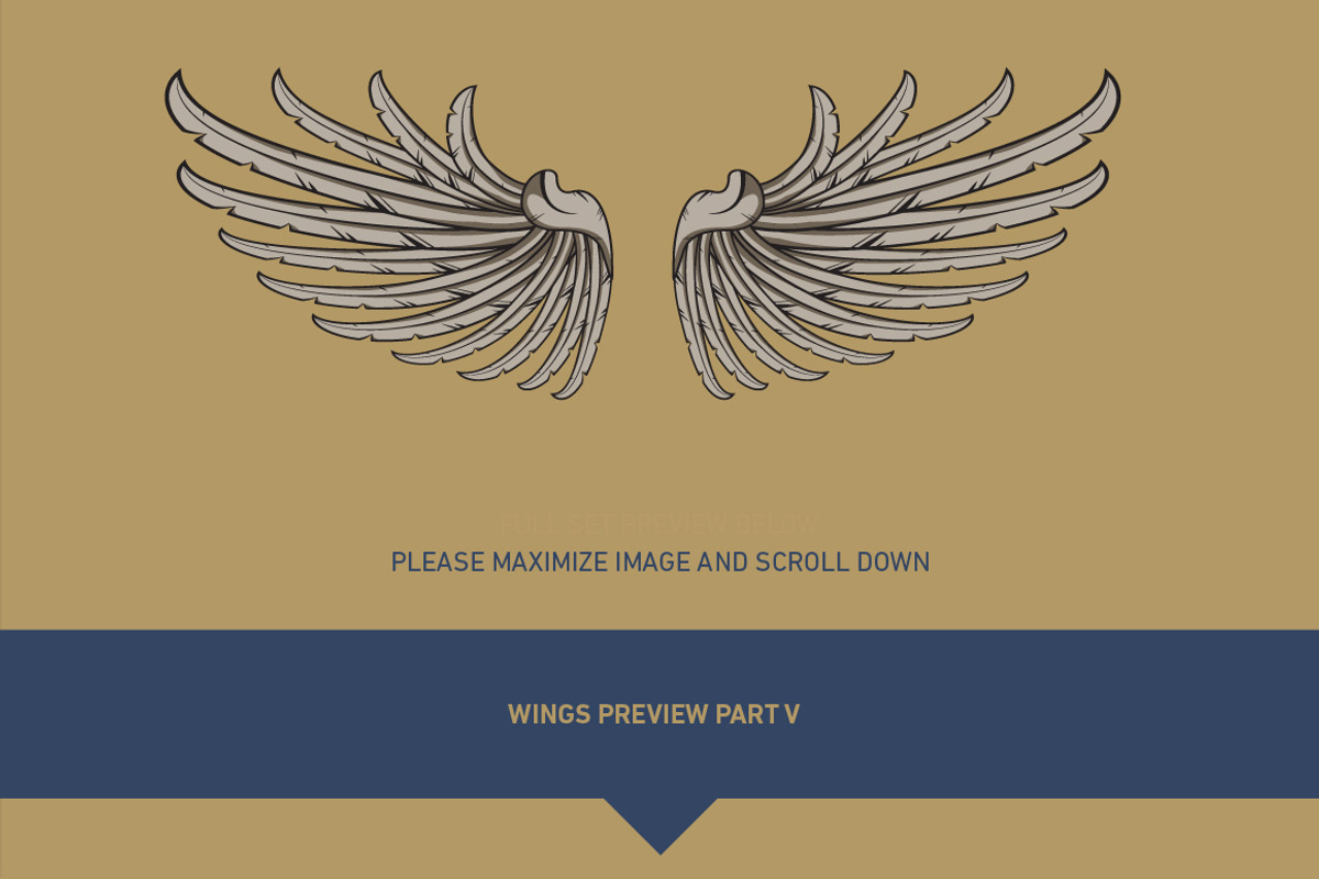 160 Pairs of Vector Wings, an Object Graphic by Damien (Photo 16 of 17)