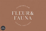 Equinox Stylish Font duo & logo set, a Slab Serif Font by Studio Aurora (Thumbnail 13 of 13)