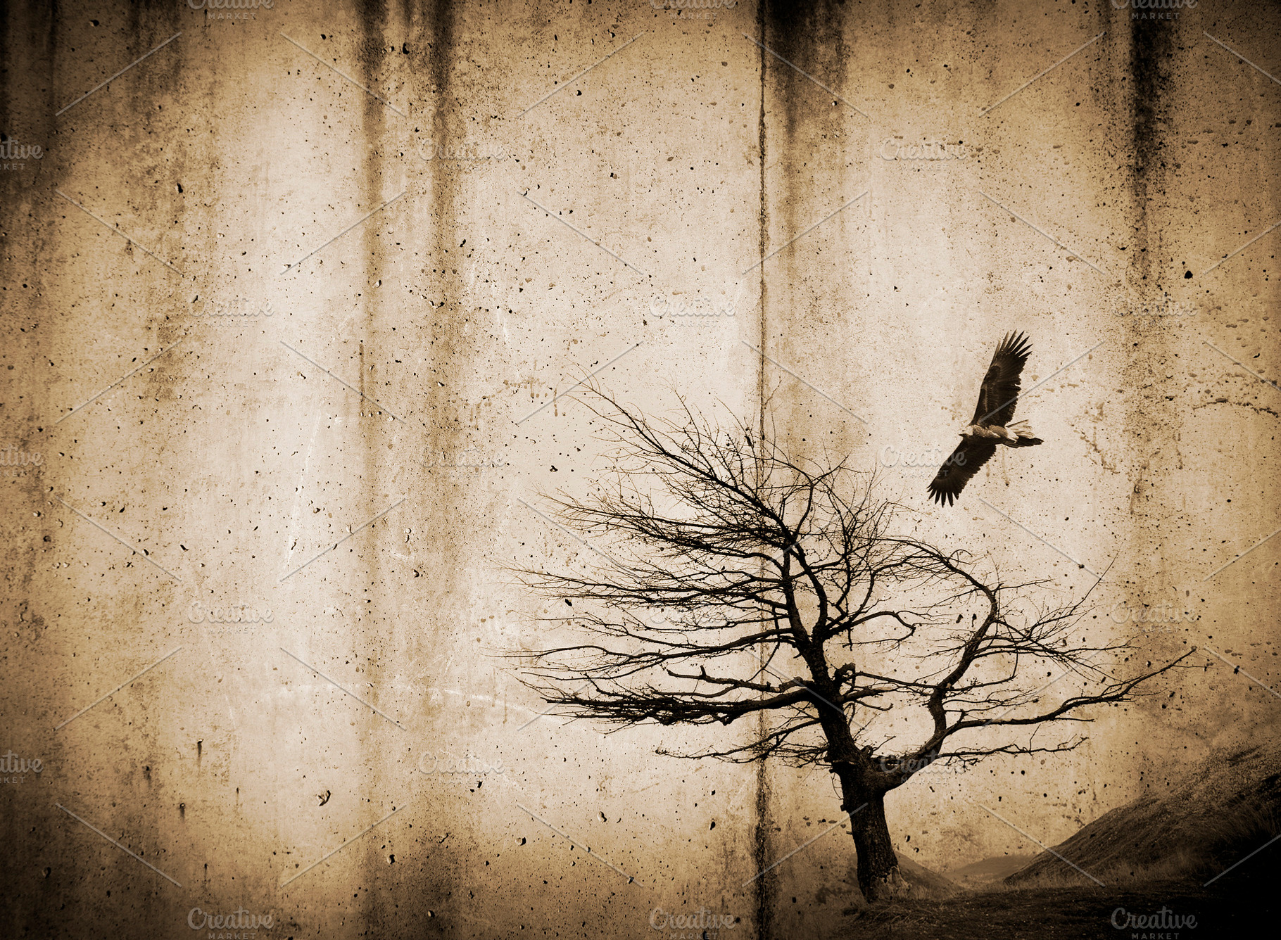 Tree and Bird on Rough Background, a Wallpaper Photo by THP Creative