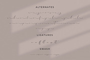 Qinarsi, a Script Font by Integritype Studio (Thumbnail 10 of 15)