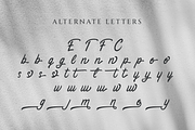 Restaconme Modern Script Font, a Script Font by Endeavour Studio™ (Thumbnail 7 of 12)