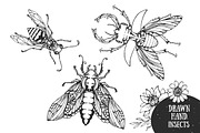 Hand Drawn Elements collection, an Object Graphic by inifer (Thumbnail 3 of 5)