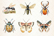 Vintage Spring Insect Clipart, an Illustration by Dream Creation (Thumbnail 5 of 6)