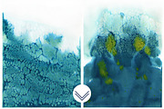 Watercolor Ombre Paper set, a Texture Illustration by swiejko (Thumbnail 2 of 2)