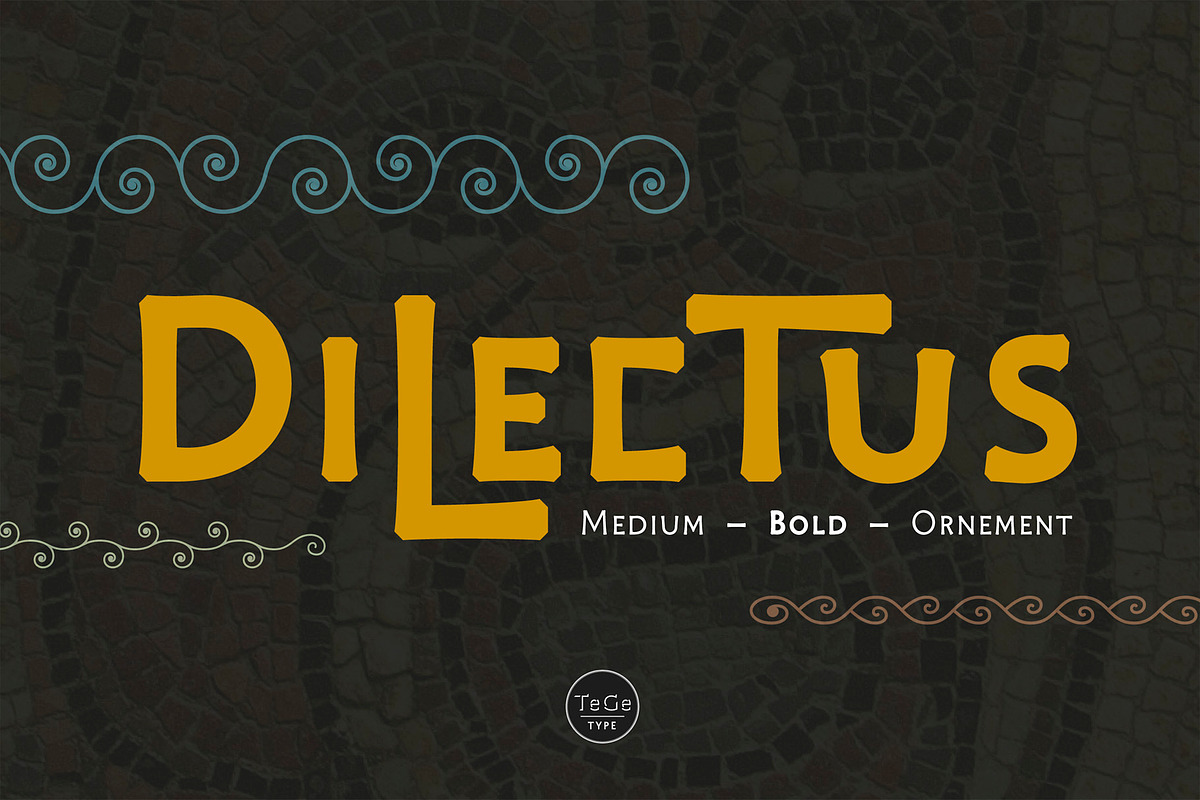 Dilectus, a Script Font by TeGeType foundry (Photo 1 of 8)