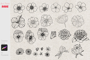 Procreate Line Art Flower Stamps