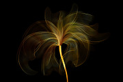 100+ Gold Gradients for Illustrator, a Gradient Add-On by Kseniya-Omega (Thumbnail 3 of 4)