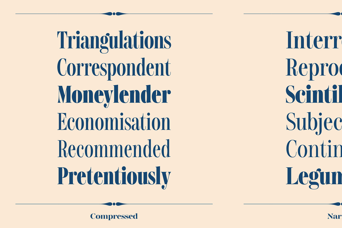 Gerard Display, a Serif Font by Rafael Jordan (Photo 9 of 12)
