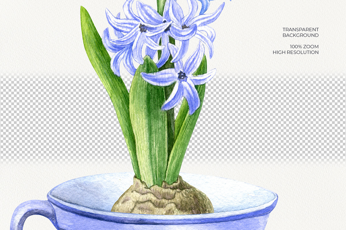 Floral Cottage Watercolor Collection, a Seasonal Illustration by YarovaArt (Photo 9 of 16)
