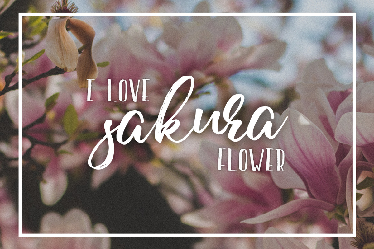 Hello Tayledic Handstylish Font Duo preview 3