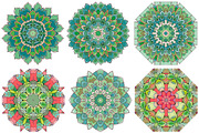 Succulents for coloring pages, a Decorative Illustration by Watercolor fantasy (Thumbnail 13 of 13)