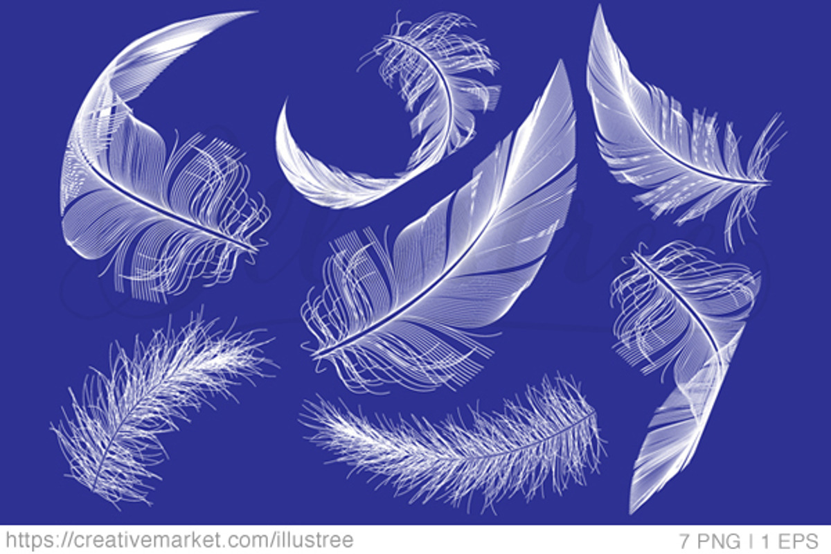 White feathers, vector set, an Animal Illustration by Illustree (Photo 2 of 2)