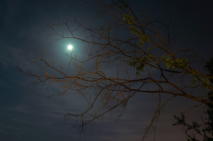 Moon