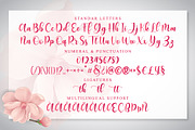 Dorothy | Modern Calligraphy, a Script Font by Almeera Std (Thumbnail 3 of 10)