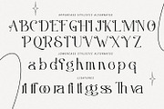 Misslena, a Serif Font by din-studio.com (Thumbnail 9 of 10)