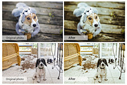 Lovely Pets Lightroom Presets, an Action Add-On by DreamColor (Thumbnail 10 of 10)
