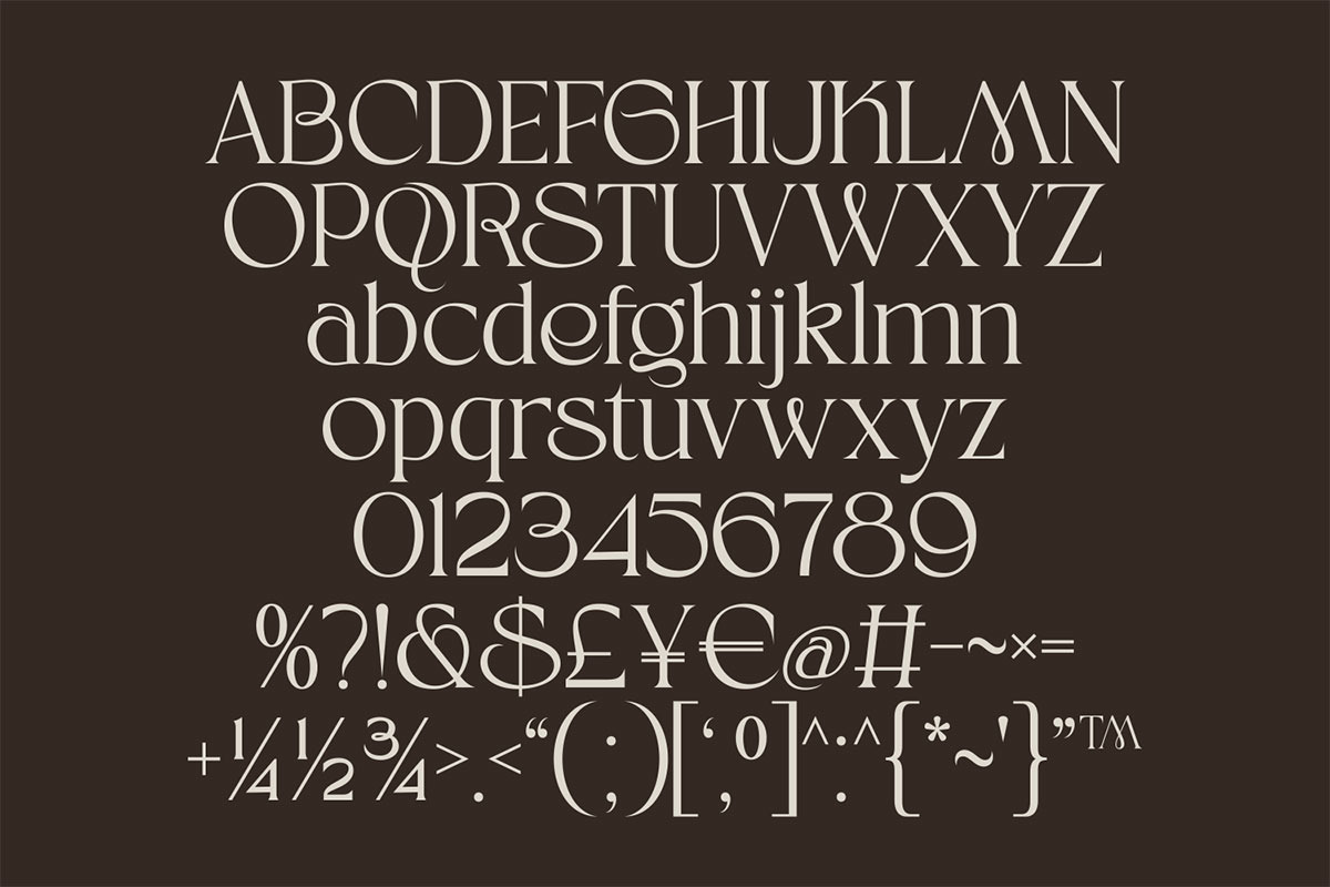 Beyline - Unique Elegance Serif Font, a Serif Font by Afkari Studio (Photo 5 of 6)