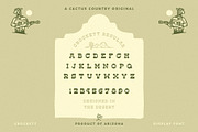 Crockett Display Font, a Slab Serif Font by Cactus Country (Thumbnail 6 of 6)