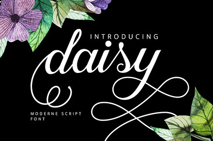 Daizy Script On Sale