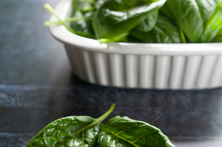 Fresh spinach leaves in a bowl, a Food & Drink Photo by WildStrawberry Magic