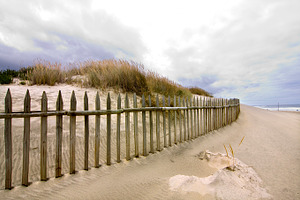 Beach landscape featuring beach, summer, and vacation
