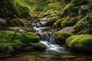 Water flows over rocks and moss, a Photo by Pavel_design