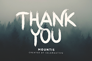 Mountis - Brush Font, a Font by Salamahtype (Thumbnail 10 of 10)