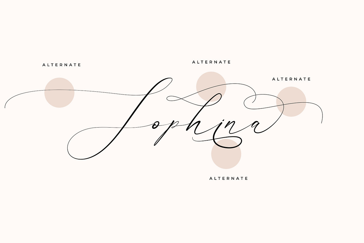 Flavinda Wedding Calligraphy Font, a Script Font by RantautypeStudio (Photo 9 of 16)