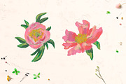 Peonies Clipart, an Illustration by Lucyinyourheart (Thumbnail 4 of 5)