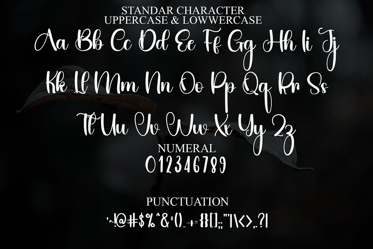 Beauty Magical, a Handwritten Font by InermediaSTUDIO (Photo 3 of 8)