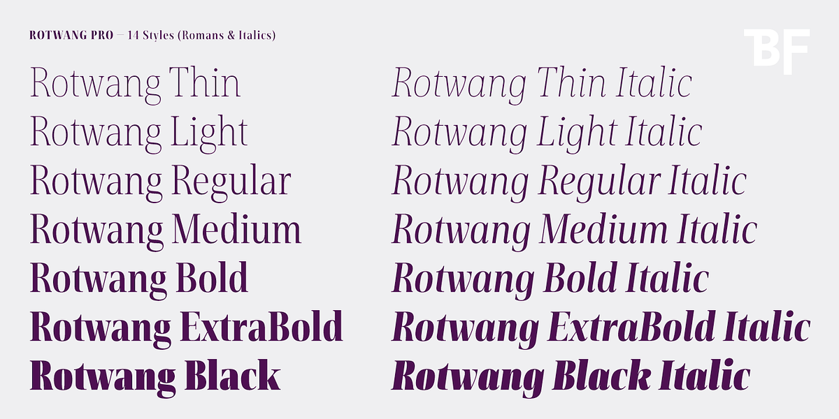 BF Rotwang Pro, a Serif Font by BrassFonts (Photo 15 of 15)