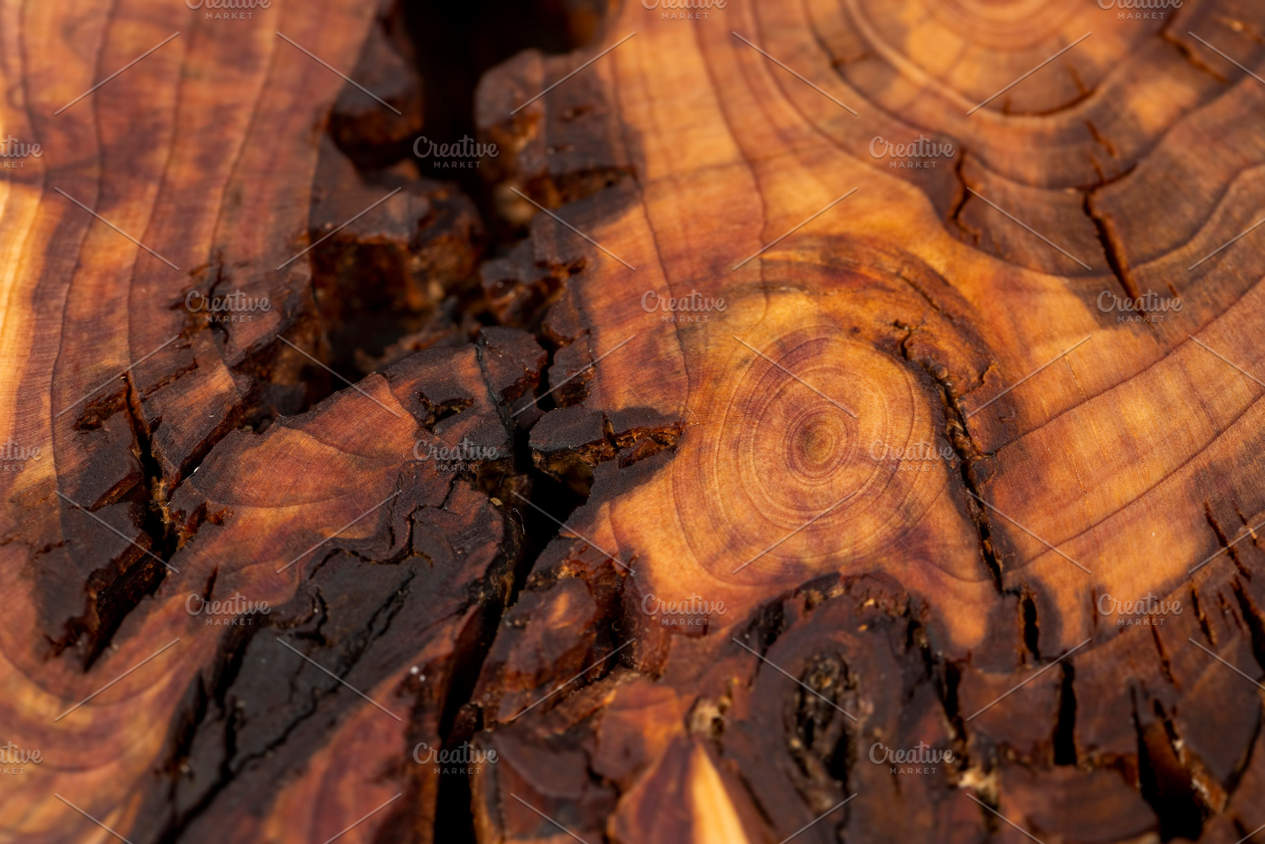 wood color closeup, beautiful larch wood with annual rings of brown shades, top, a Photo by rsoollAI