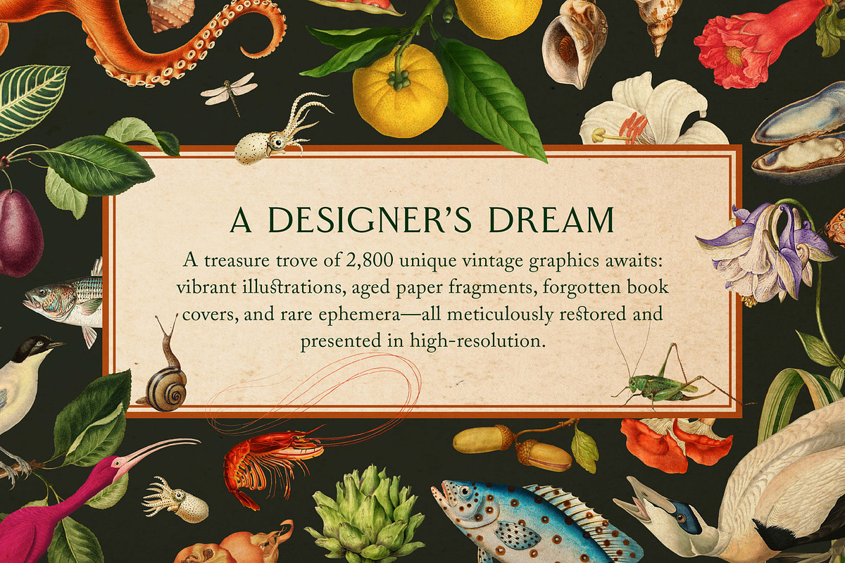 Vintage Bundle – 60% Off! – 21 Packs, an Object Graphic by The Object Atlas (Photo 4 of 26)