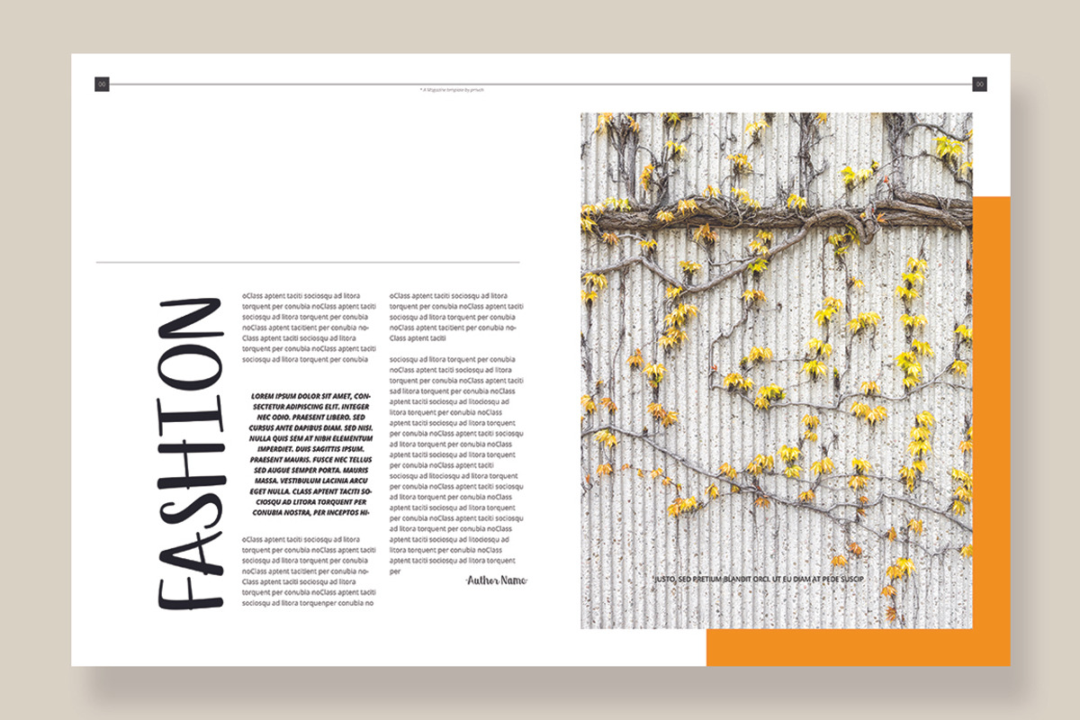 Magazine Template 06, a Magazine Template by pmvch (Photo 7 of 12)