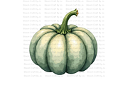 Sage Green Pumpkins, a Decorative Illustration by Bloom Craft Creations (Thumbnail 8 of 12)