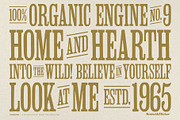 FIREWOOD - A Wood Type Style Font, a Serif Font by Komet & Flicker (Thumbnail 9 of 14)