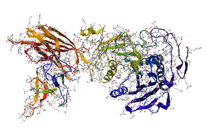 Enzyme pancreatic lipase-colipase, a Healthcare Illustration by Leonid Andronov