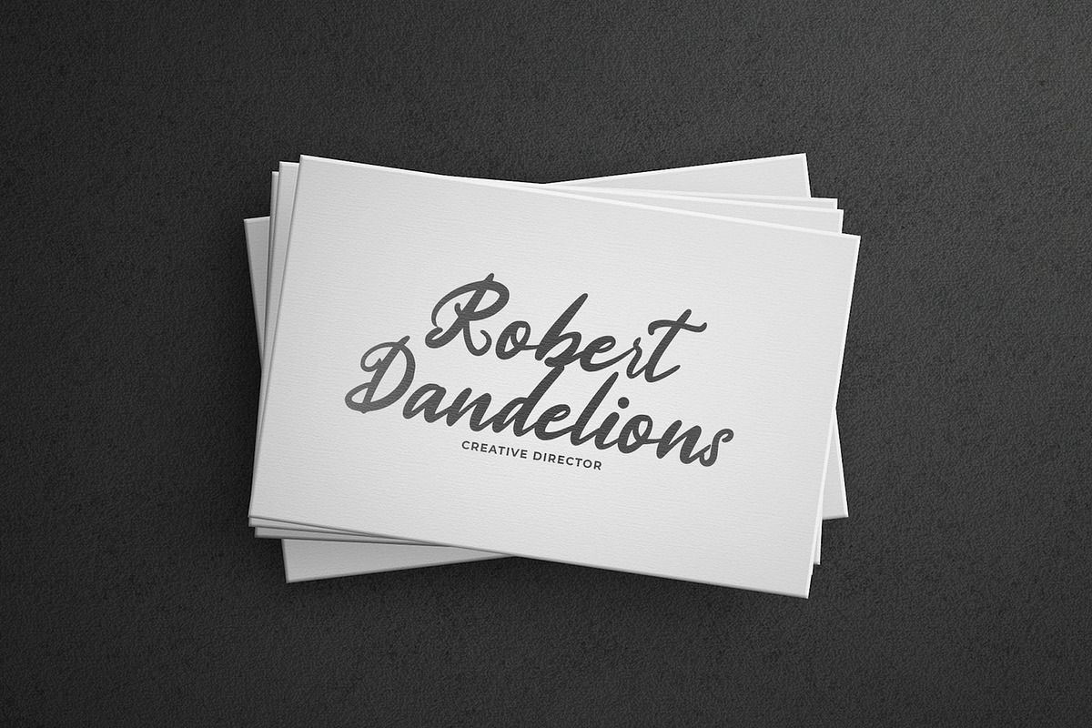 Stranger - Handwritten Font, a Script Font by StringLabs (Photo 8 of 14)