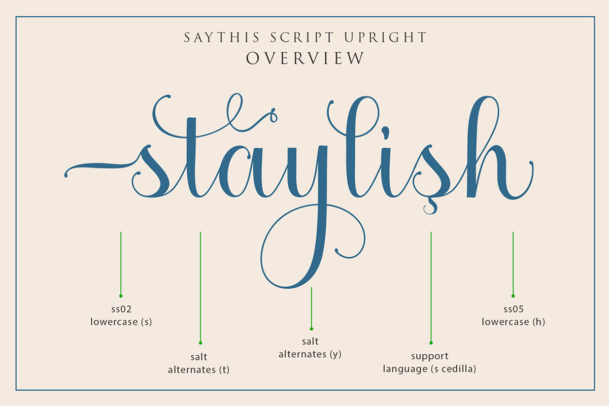 Saythis Script Upright preview 8