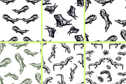 Reptiles, an Animal Illustration by Ecaterina Sciuchina (Thumbnail 4 of 5)