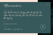 Nandola Typeface, a Script Font by alit design (Thumbnail 10 of 16)