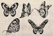 BUNDLE WILD ANIMALS VECTOR, an Animal Illustration by AnastasiyaOleynik (Thumbnail 12 of 20)
