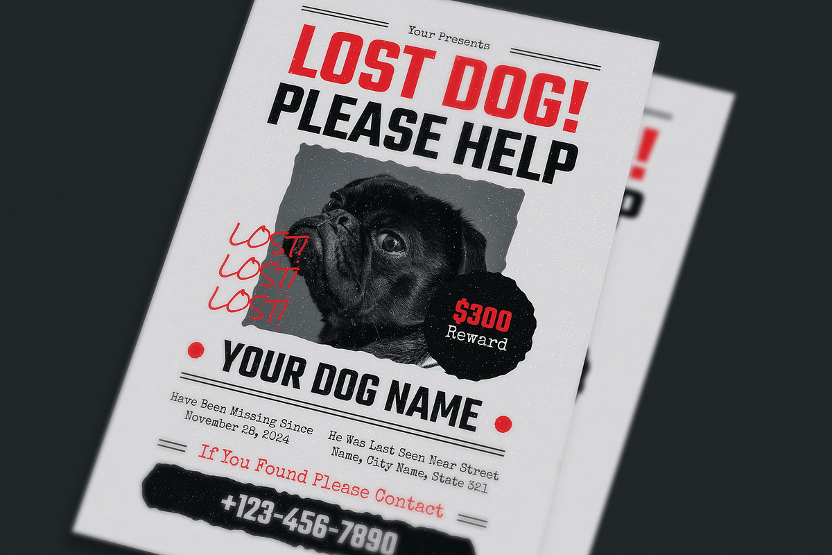 Lost Dog Flyer preview 3