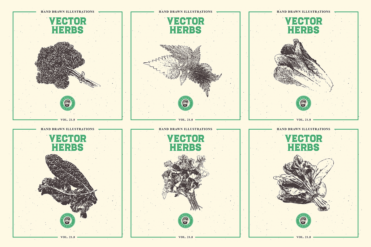VECTOR HERBS HAND DRAWN BUNDLE v20, a Food Illustration by pawellpi (Photo 2 of 6)